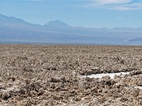 Laguna Chaxa